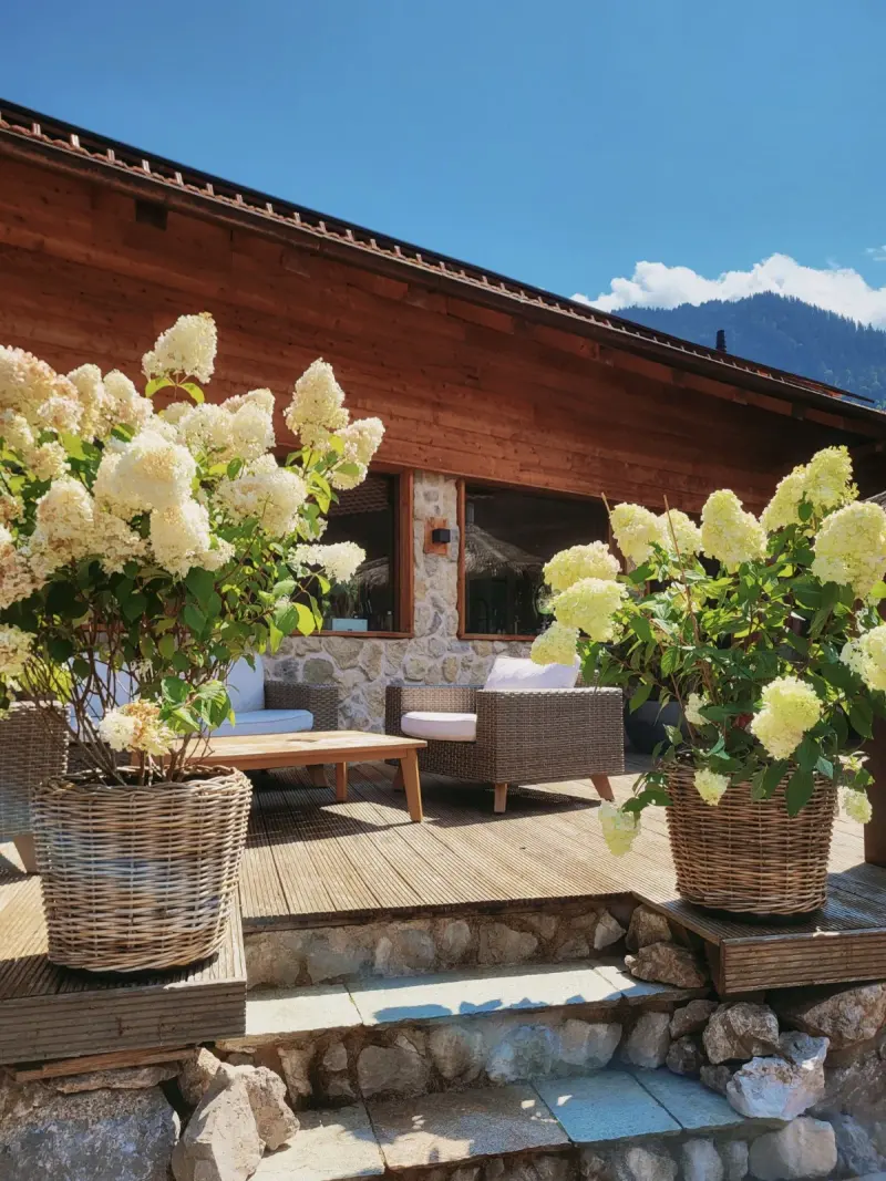 Alpenlounge